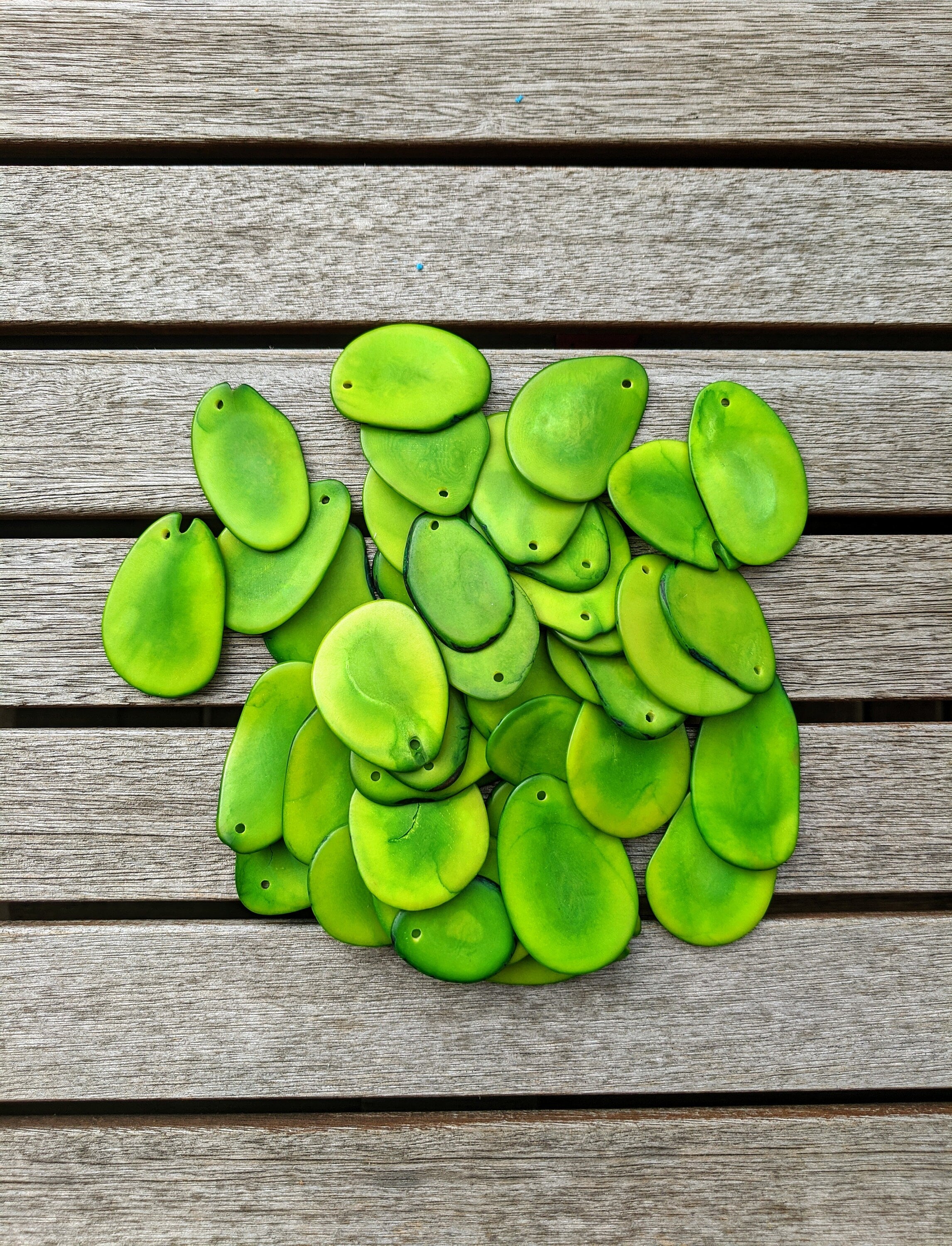 Green Tagua Nut Slices: Top Drilled Vegetal Ivory Beads (15pcs)