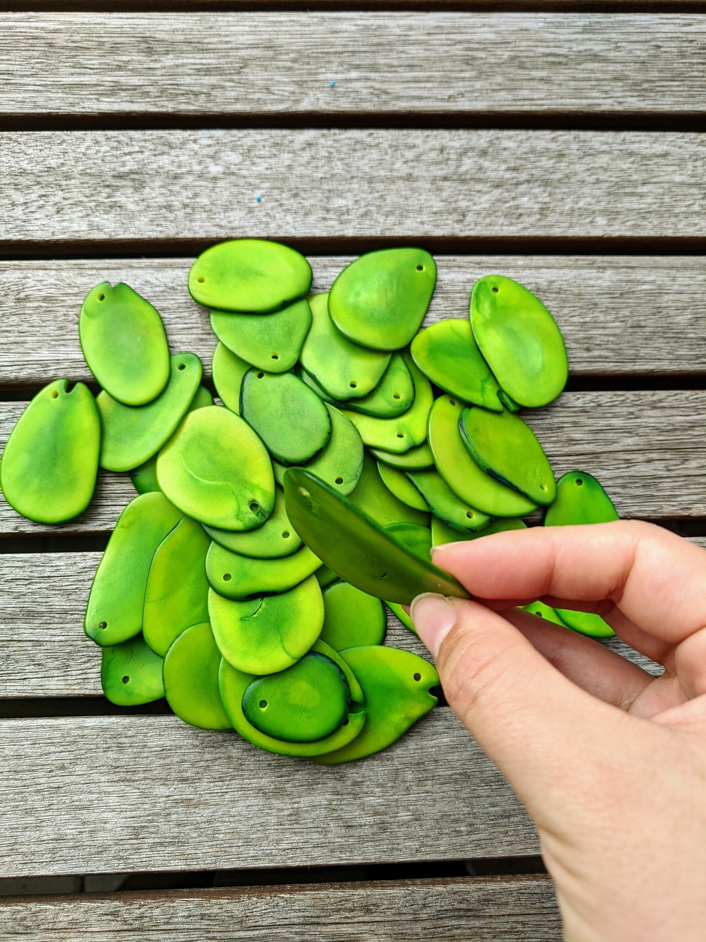 Green Tagua Nut Slices: Top Drilled Vegetal Ivory Beads (15pcs)
