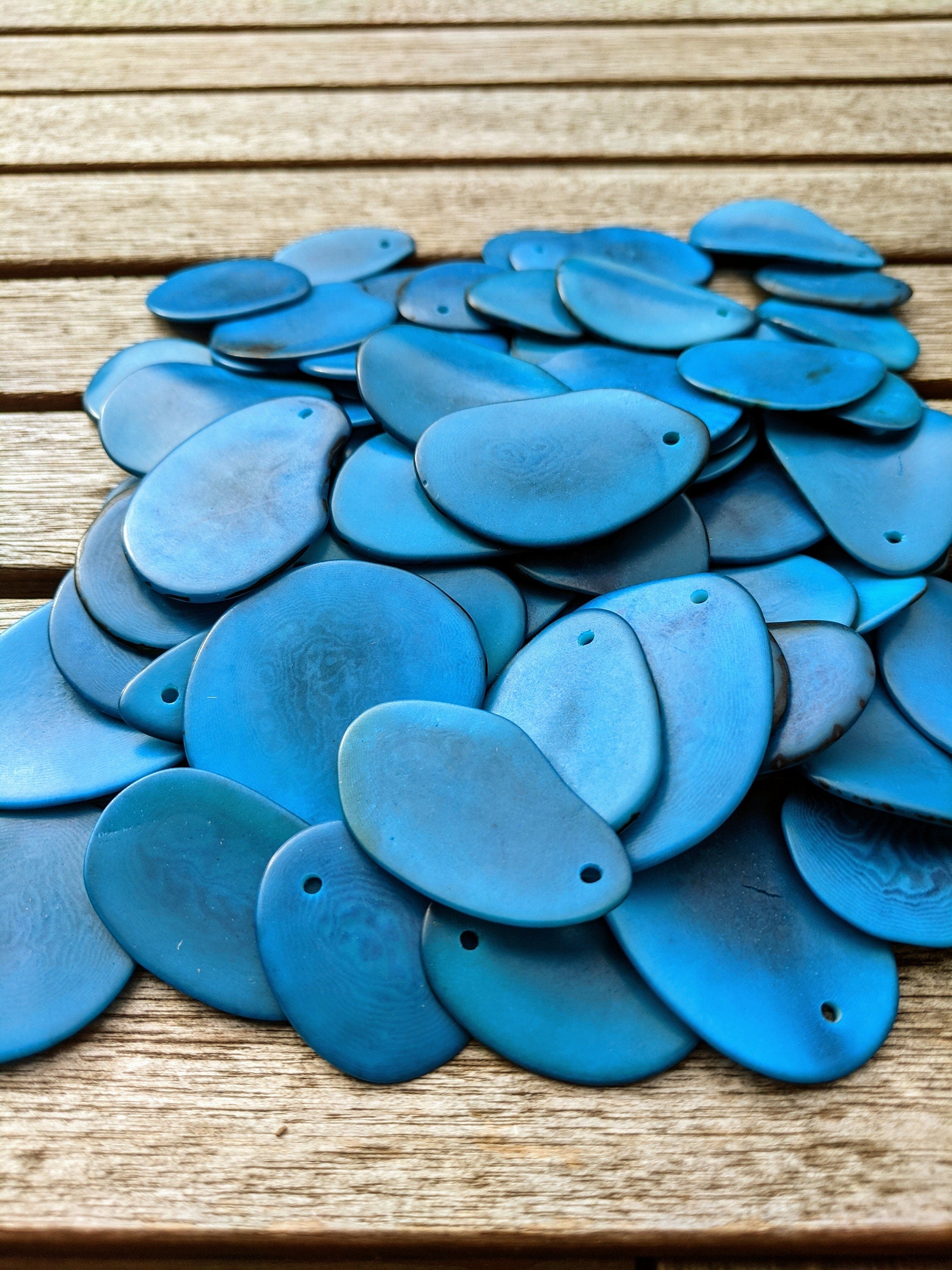 15 Blue Top Drill Tagua Nut Beads.