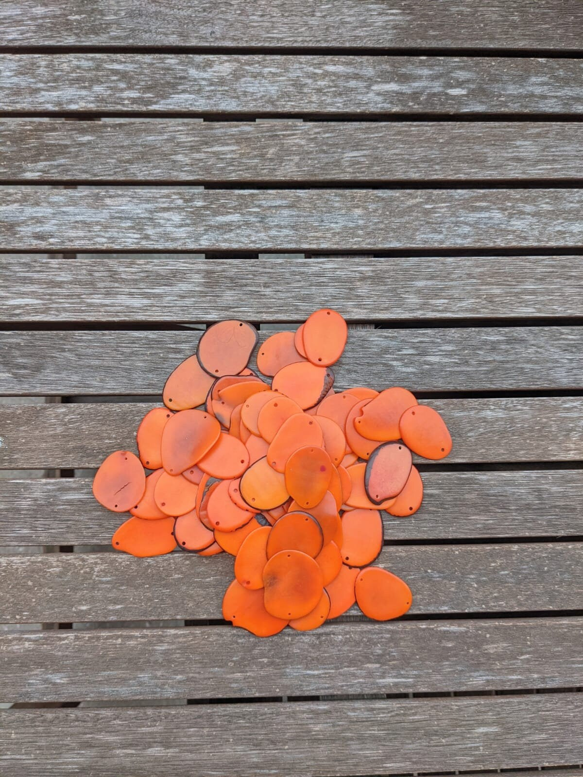 Orange Tagua Nut Beads: Natural Jewelry Making Slices (15pcs)