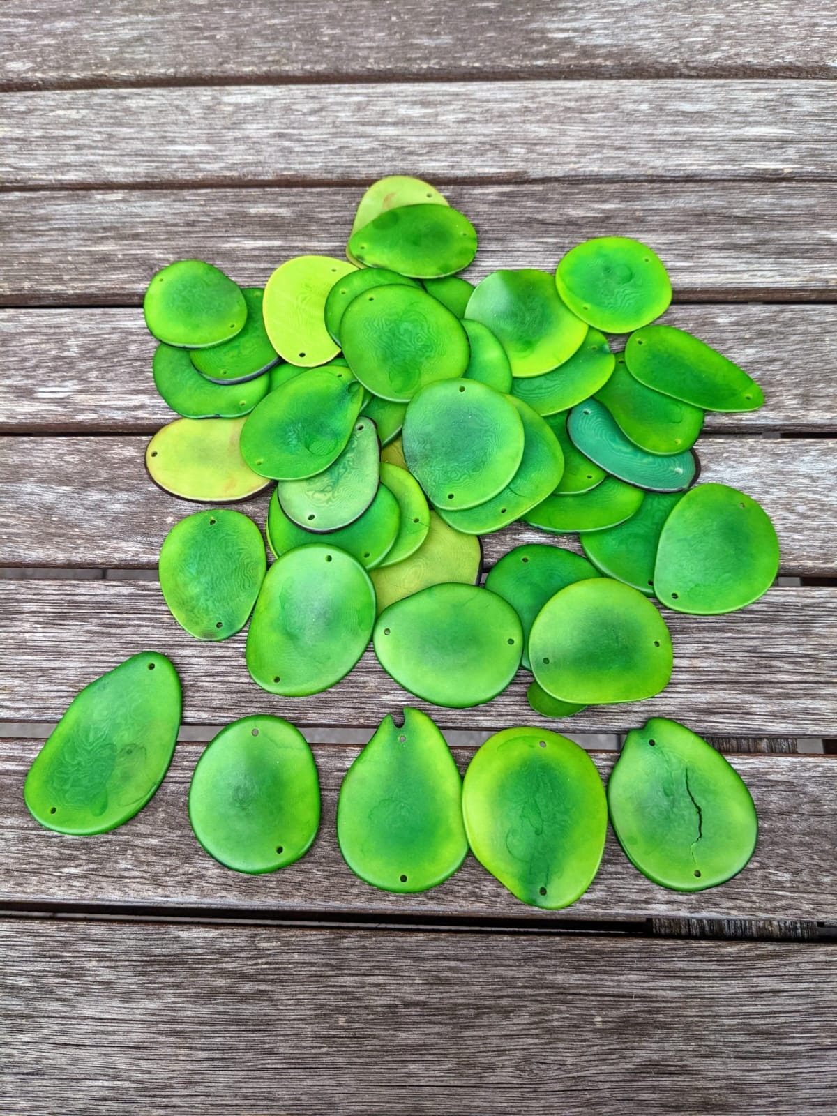 Green Tagua Nut Beads: Vegetal Ivory Slices, (15pcs)