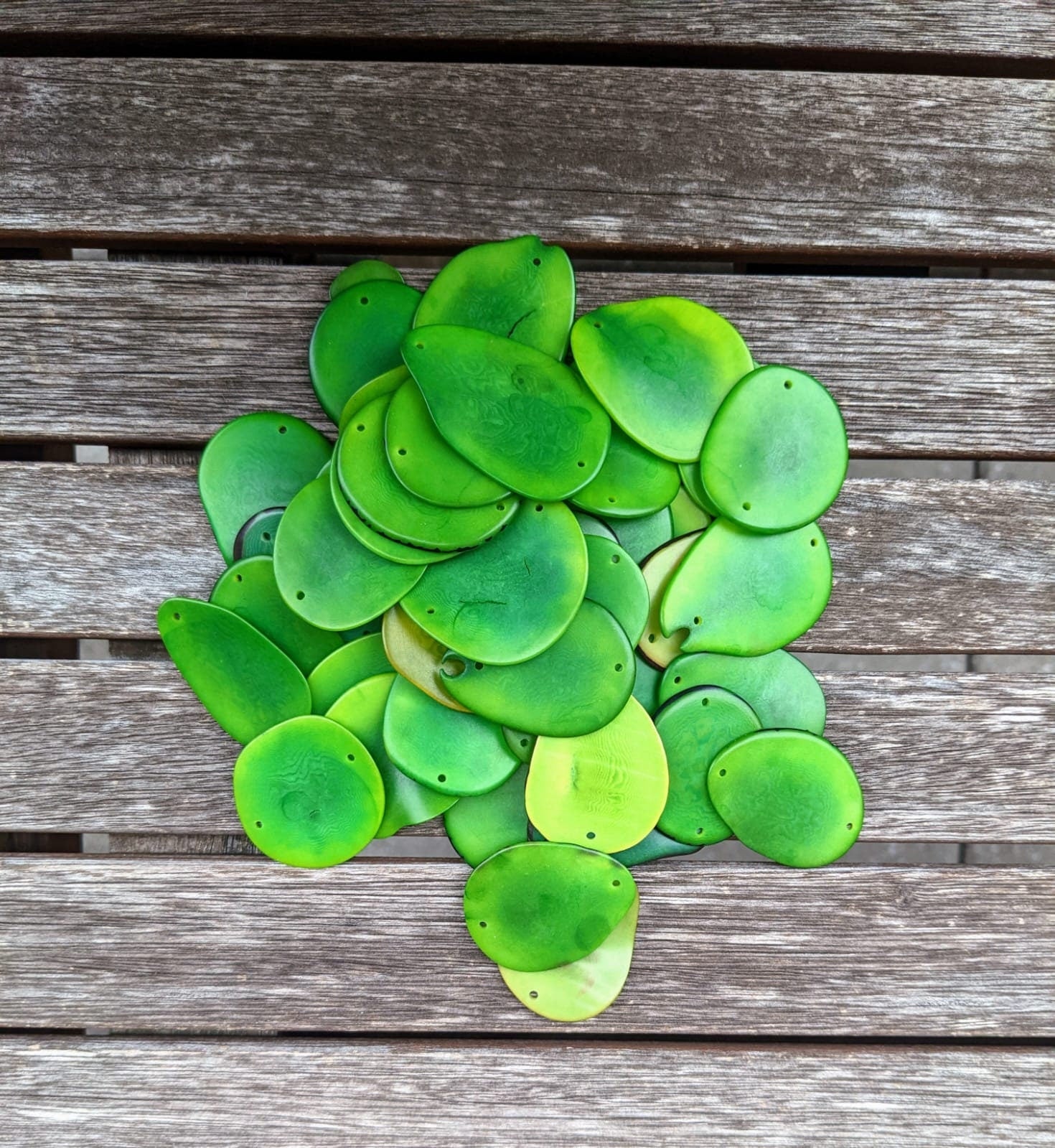 Green Tagua Nut Beads: Vegetal Ivory Slices, (15pcs)