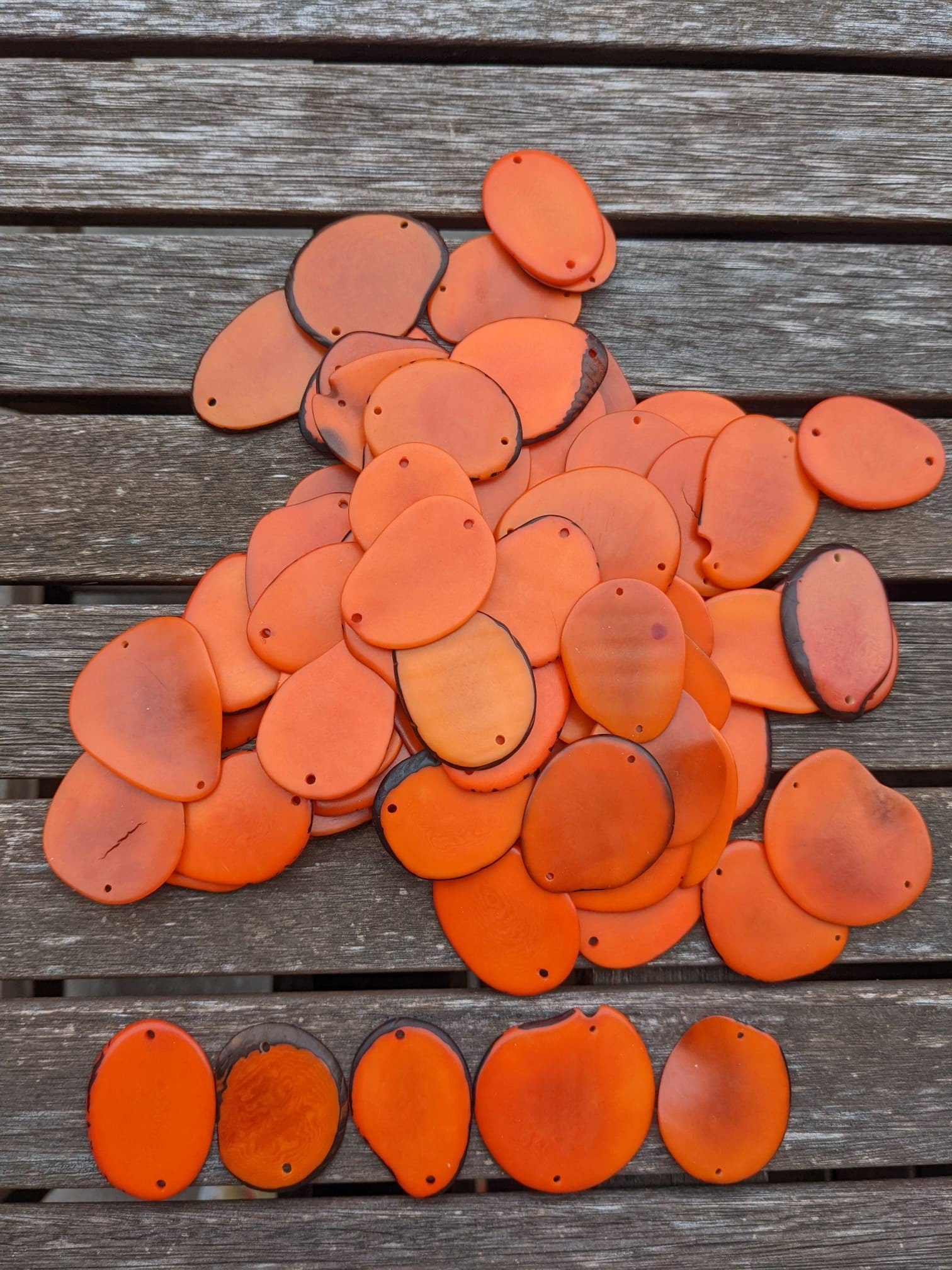 Orange Tagua Nut Beads: Natural Jewelry Making Slices (15pcs)