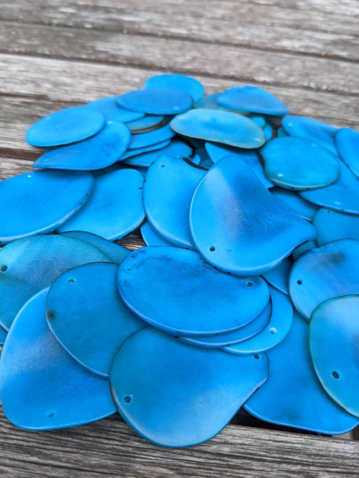 Blue Tagua Nut Beads: 15 Vegetal Ivory Jewelry Making Supplies