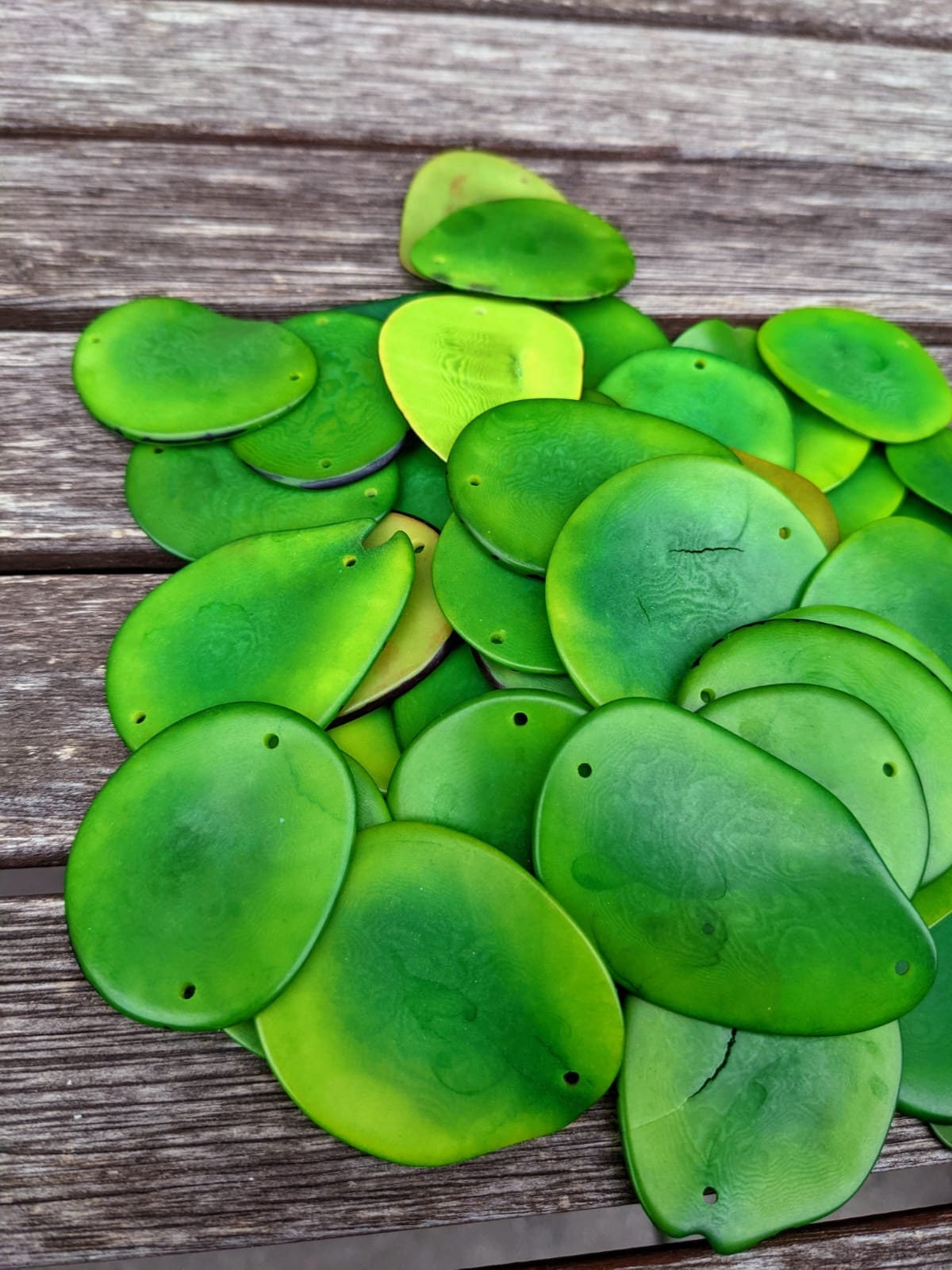 Green Tagua Nut Beads: Vegetal Ivory Slices, (15pcs)
