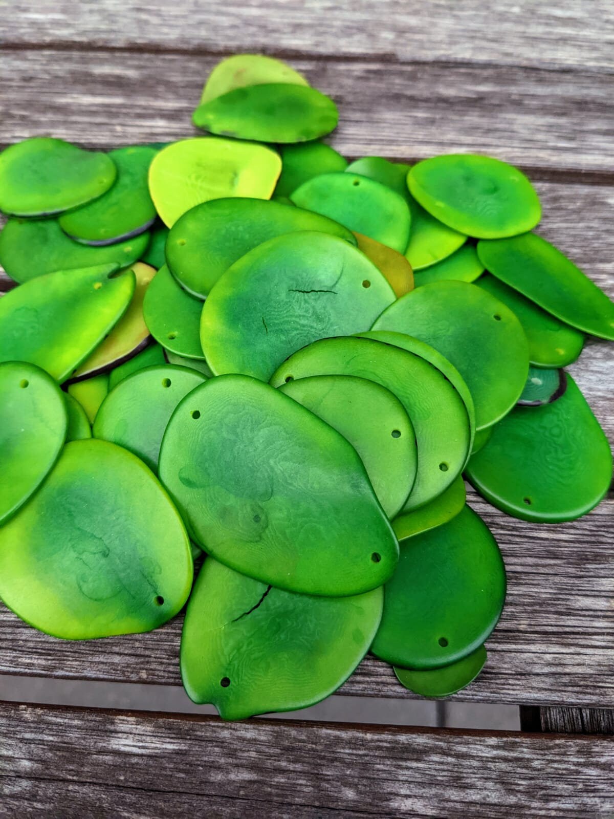 Green Tagua Nut Beads: Vegetal Ivory Slices, (15pcs)