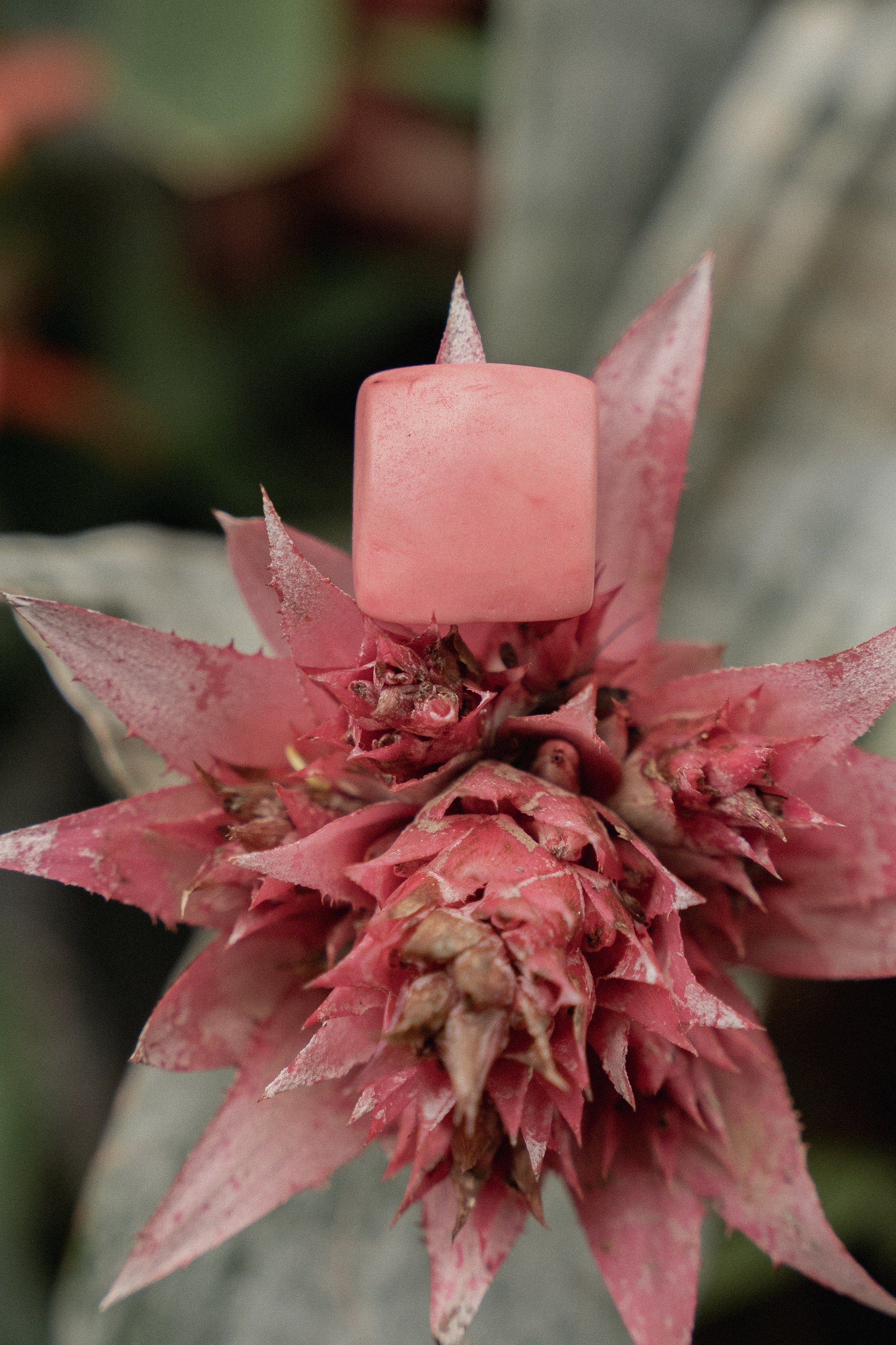 Matte Pink Wide Band Ring.